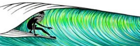 SURFing2